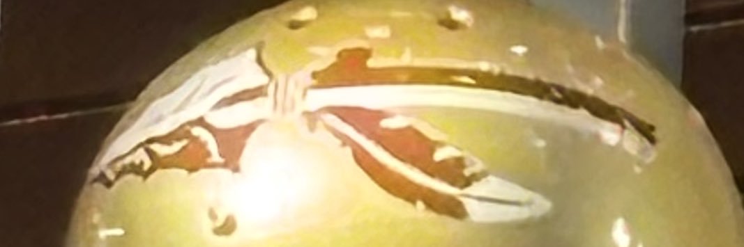 Timothy Nation banner