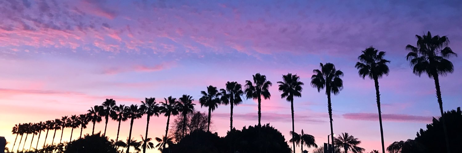 doloresflores_'s profile banner image