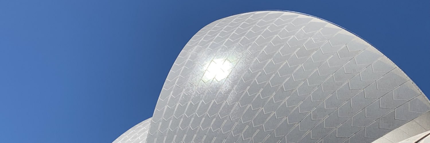 palavalagoonies's profile banner image