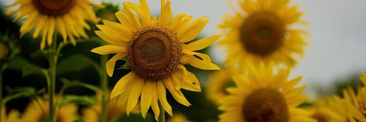 BriMayer22's profile banner image