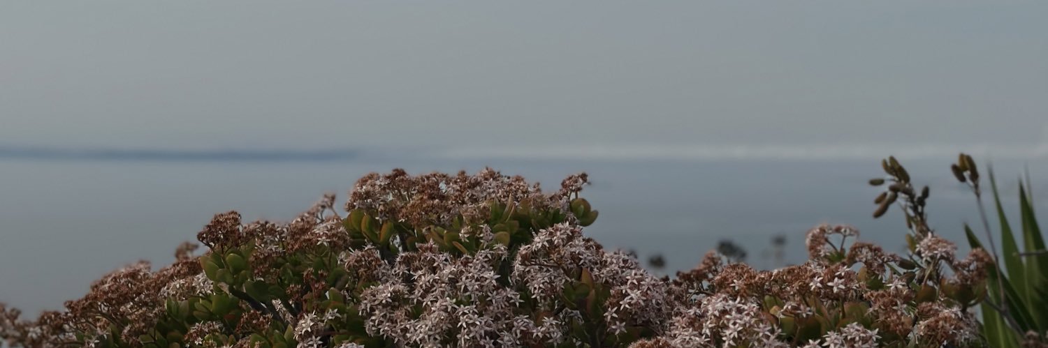 brendaidkk's profile banner image