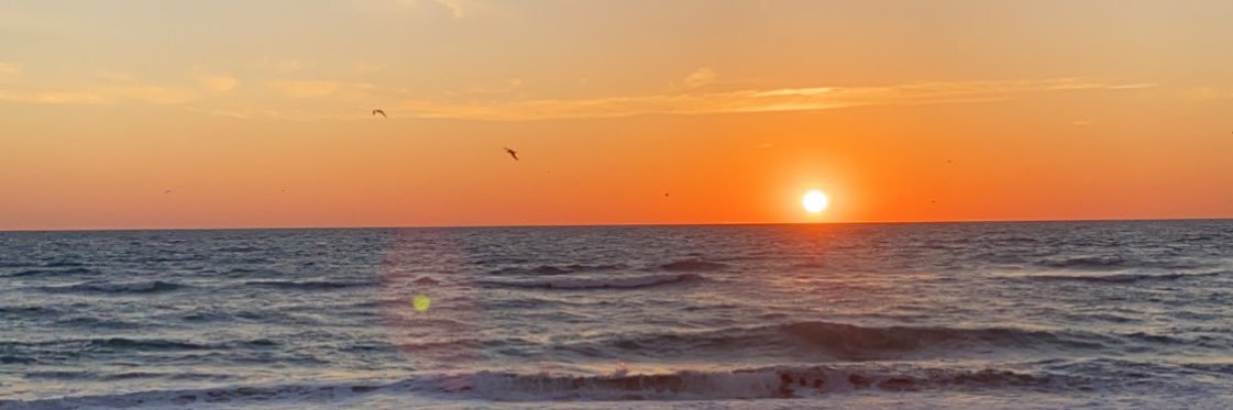 danielac_03's profile banner image