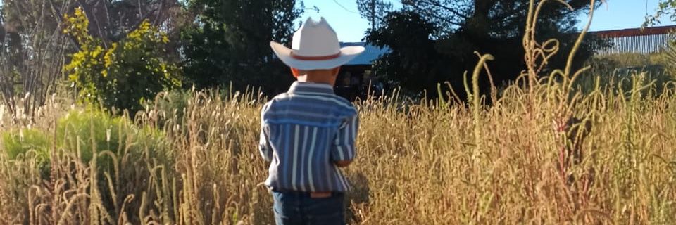 ialegv's profile banner image