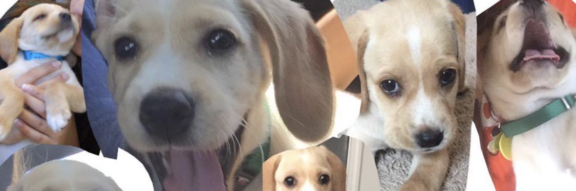 susyramirez_'s profile banner image