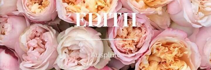 edithmolinatorr's profile banner image