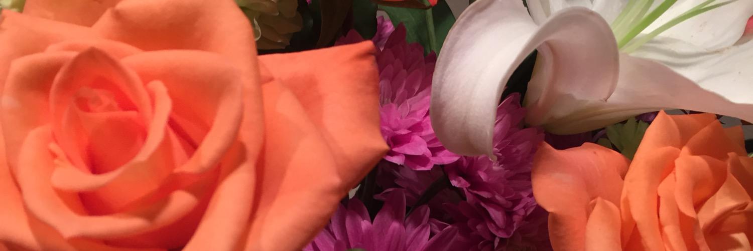 JulieTurzinski's profile banner image