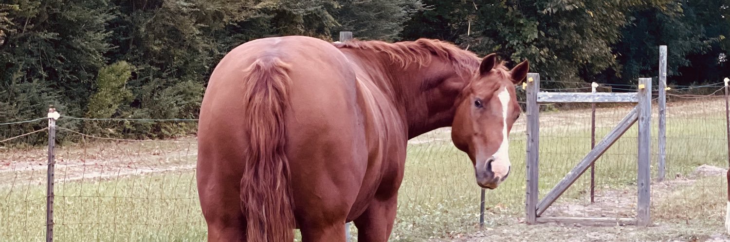 layy_bayyy's profile banner image