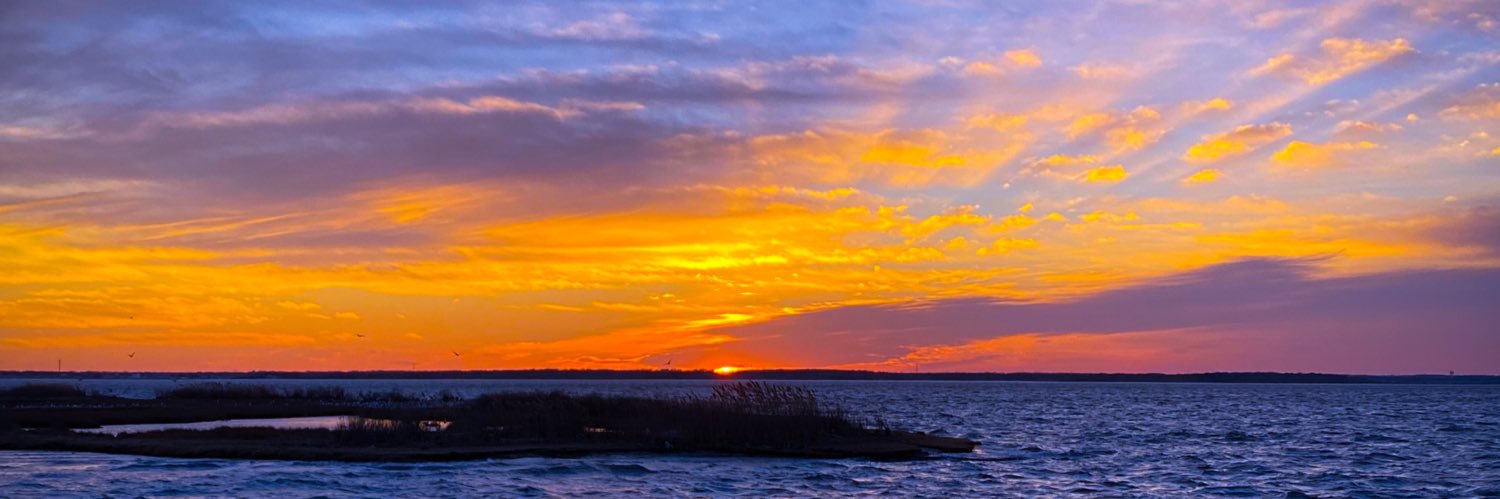 lisav44's profile banner image