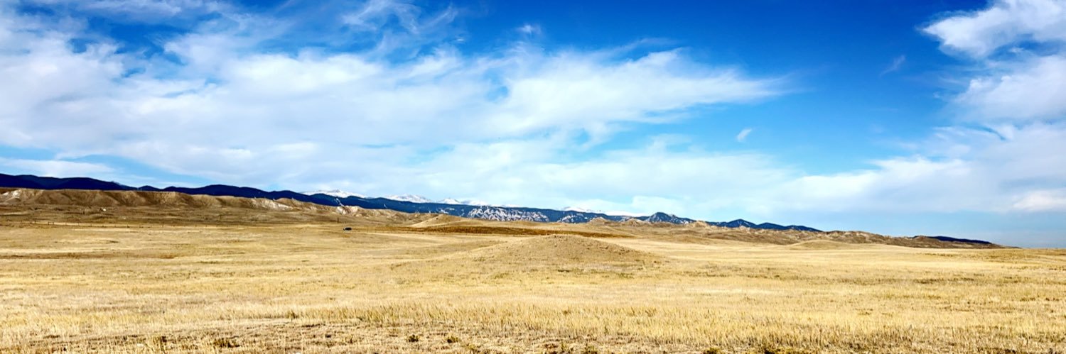 Levi Collins banner