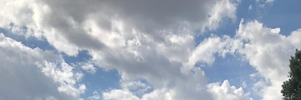 dgalvanf's profile banner image