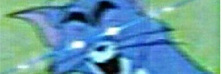 Bluetoothyeet's profile banner image