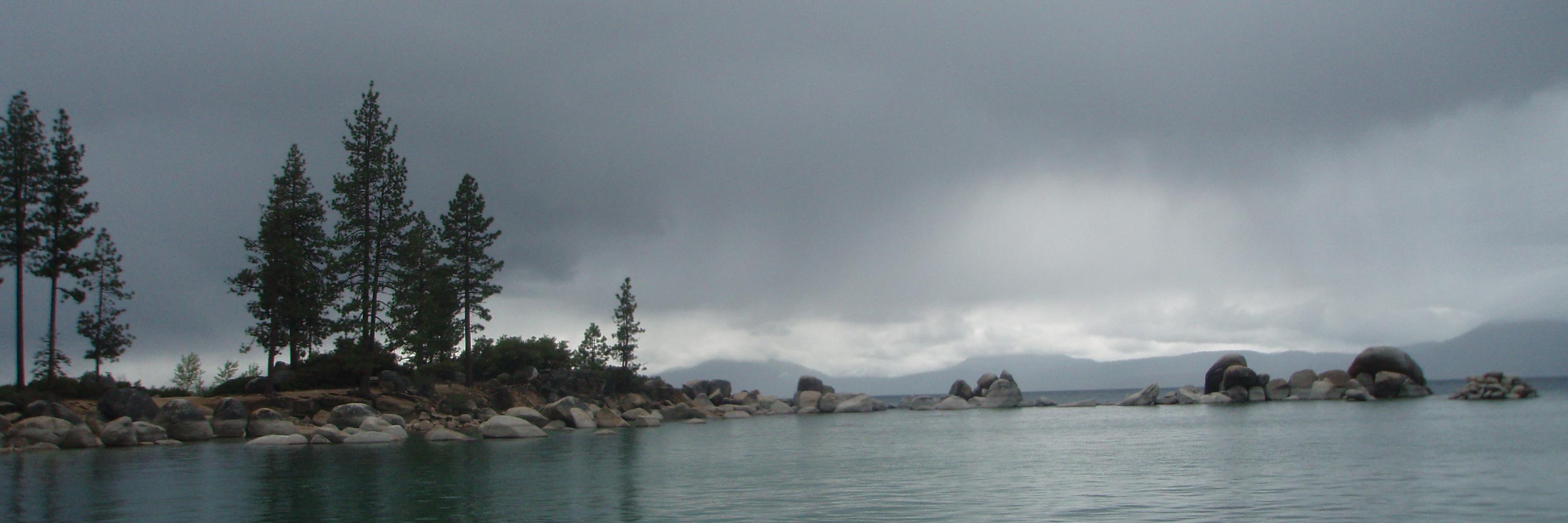 Elizabeth Wethers banner