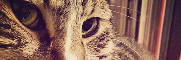 JuanaCline2 Profile Banner