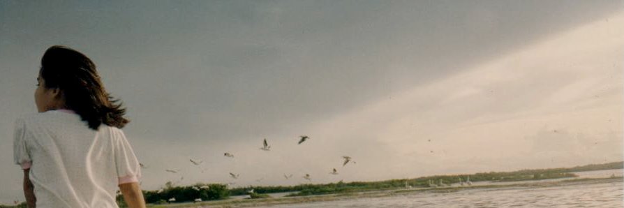 Natysbri's profile banner image