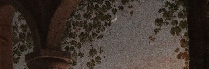 Blackwolfcass's profile banner image