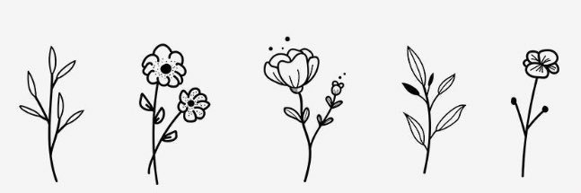 LifeOfAshleigh's profile banner image
