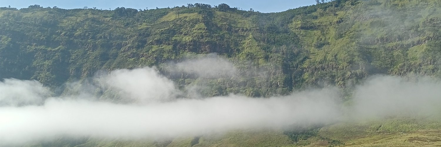 helmifand's profile banner image