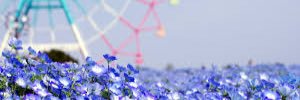 destonacole's profile banner image