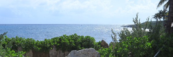freddysndvl Profile Banner