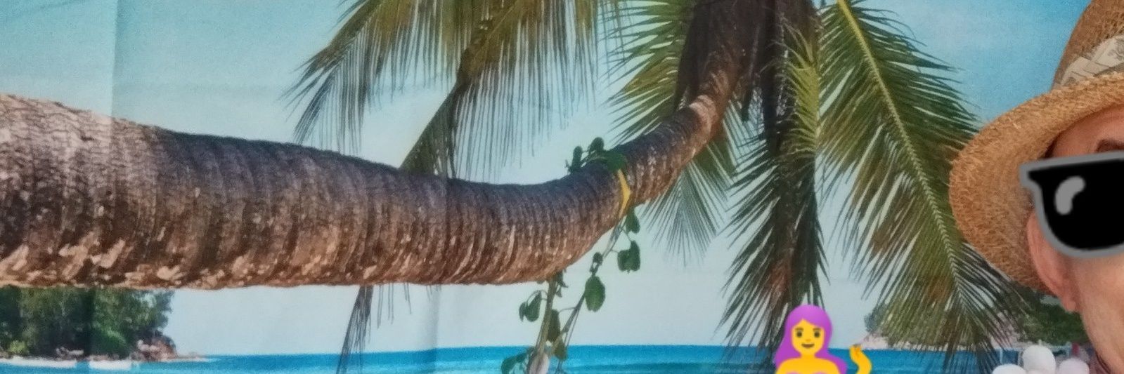 koikiyapo's profile banner image