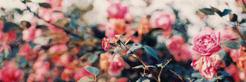 irra_anni's profile banner image