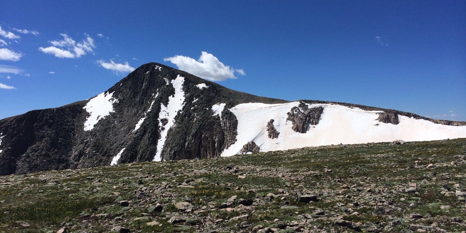Jordan Wiggins banner