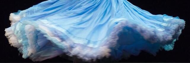 Teresa Nguyen banner