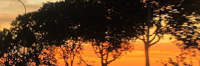 TOPMEBEACHCLUB's profile banner image