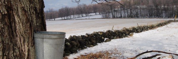 acadianmaple Profile Banner