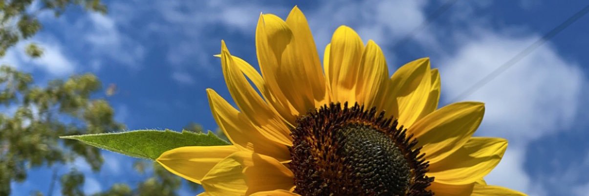 PrietaaaV's profile banner image