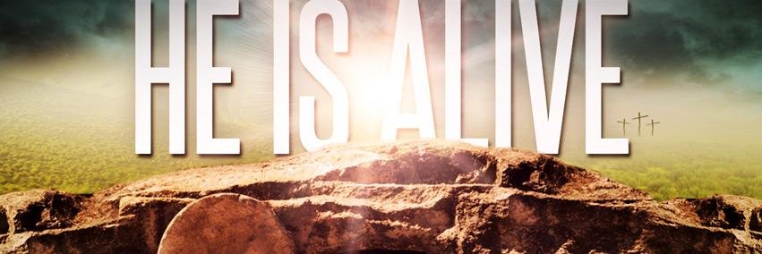 uscoastalgirl's profile banner image
