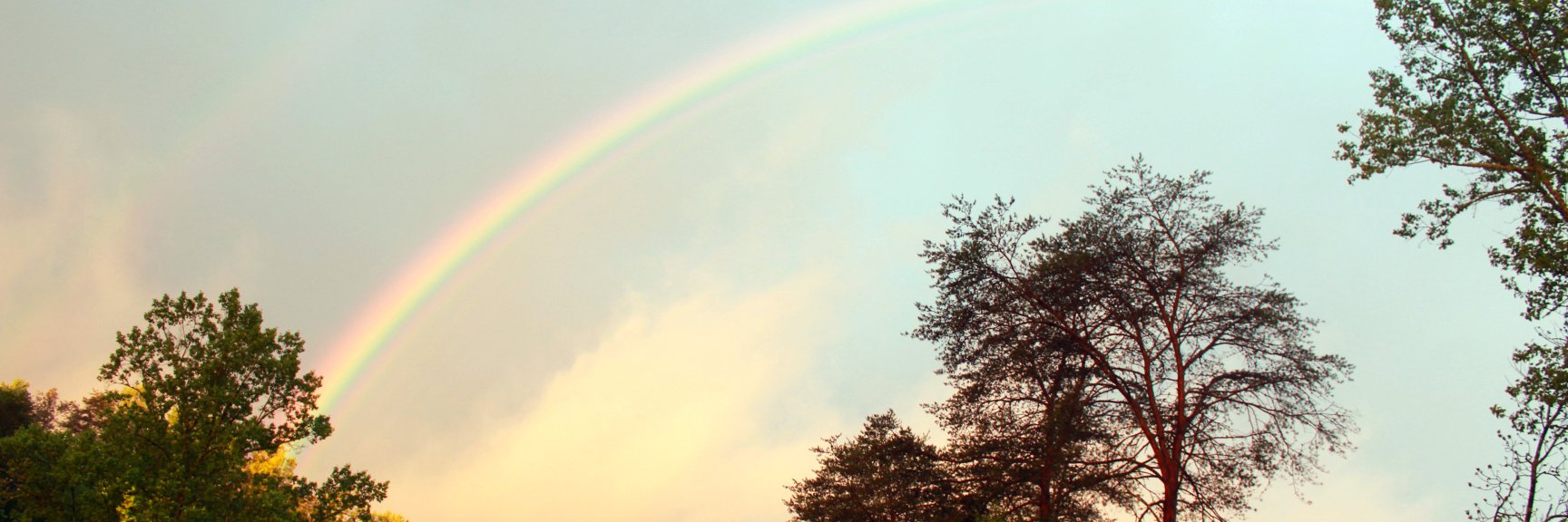 Sweepymom's profile banner image