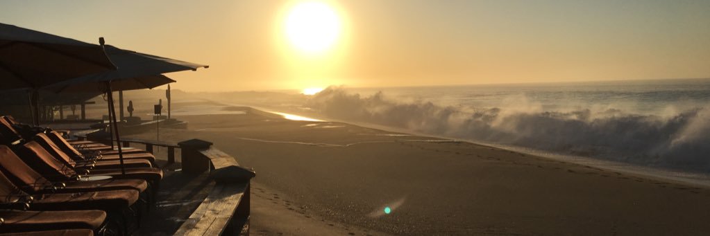 Michael Marsh banner