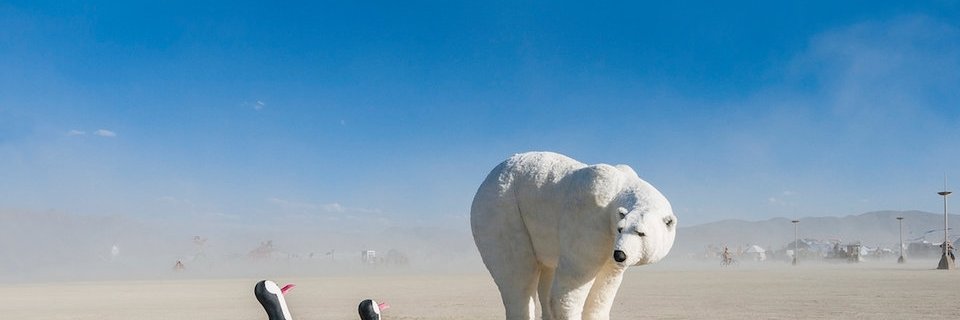 danrodmell's profile banner image