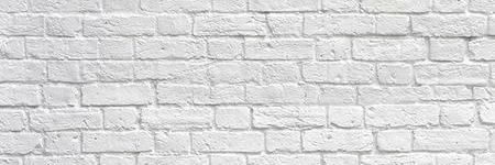 radiladina's profile banner image