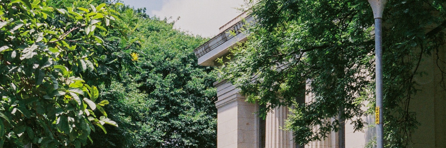 Nícolas Alexandrini banner
