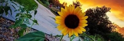 txsnlvr69's profile banner image