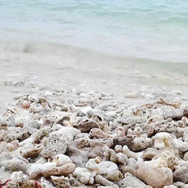 Lisa_OoZee's profile banner image