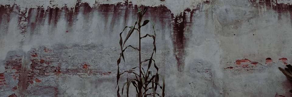 gibsteria's profile banner image