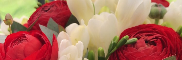 romygomez's profile banner image