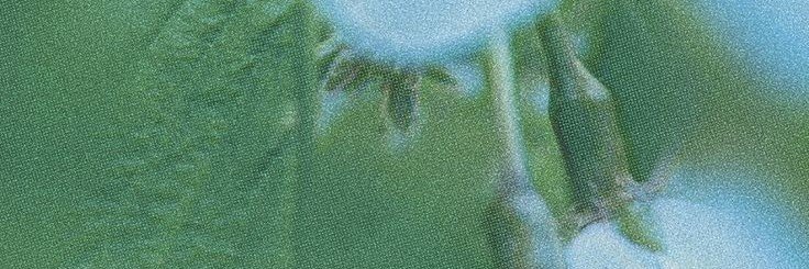 janekimh's profile banner image