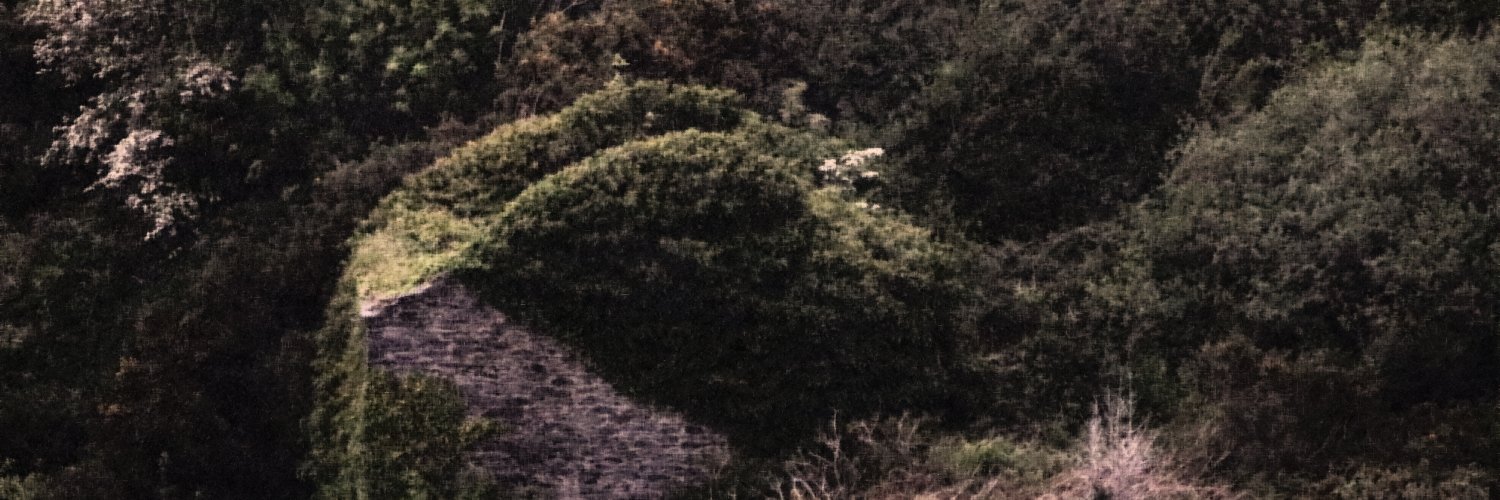 AaronMacAoidh's profile banner image