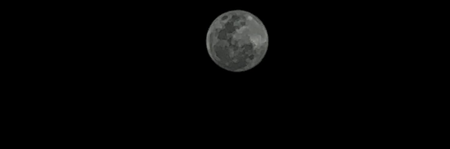 griteee's profile banner image