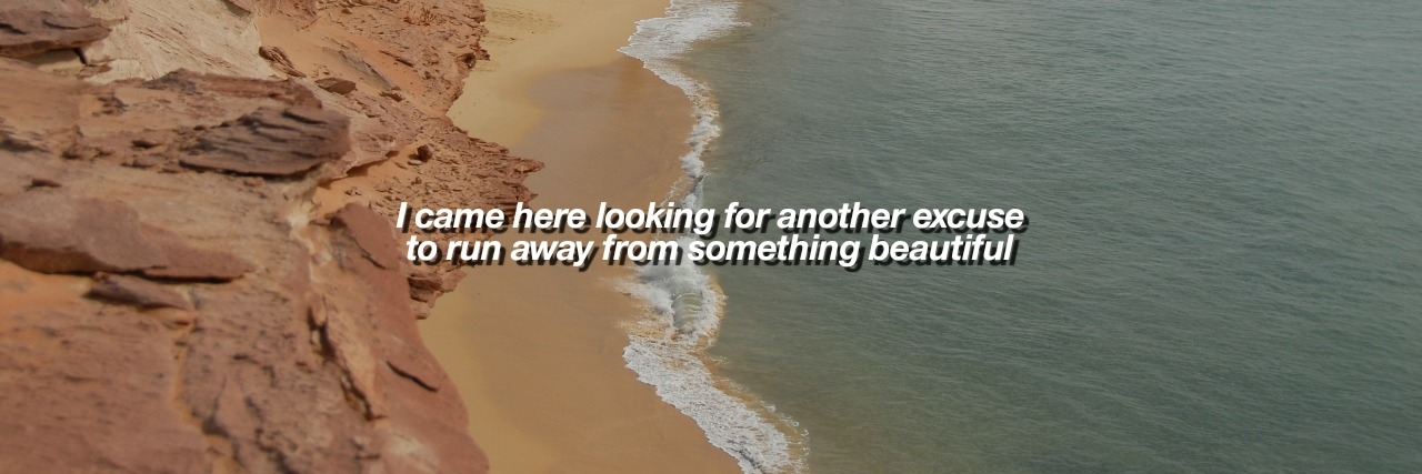 Elvia Donnelly⚡️ banner