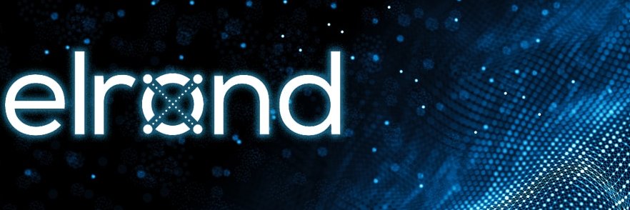 Graciela Horth⚡️🌱 banner