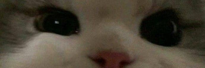 Gringo669's profile banner image