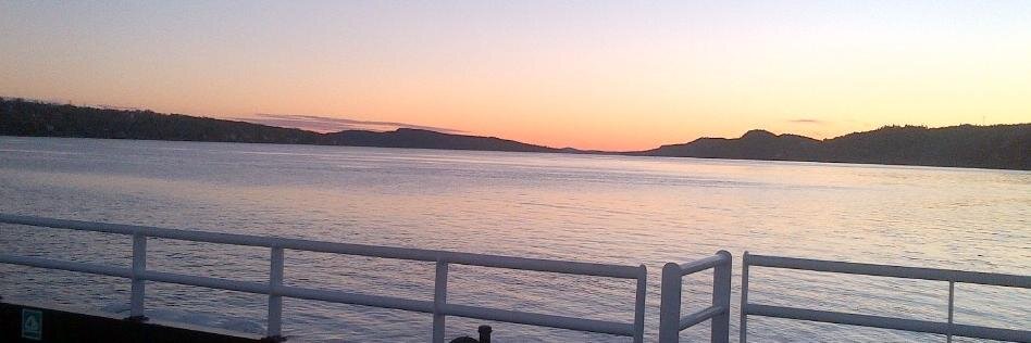 Ann Hogan (she/her) banner