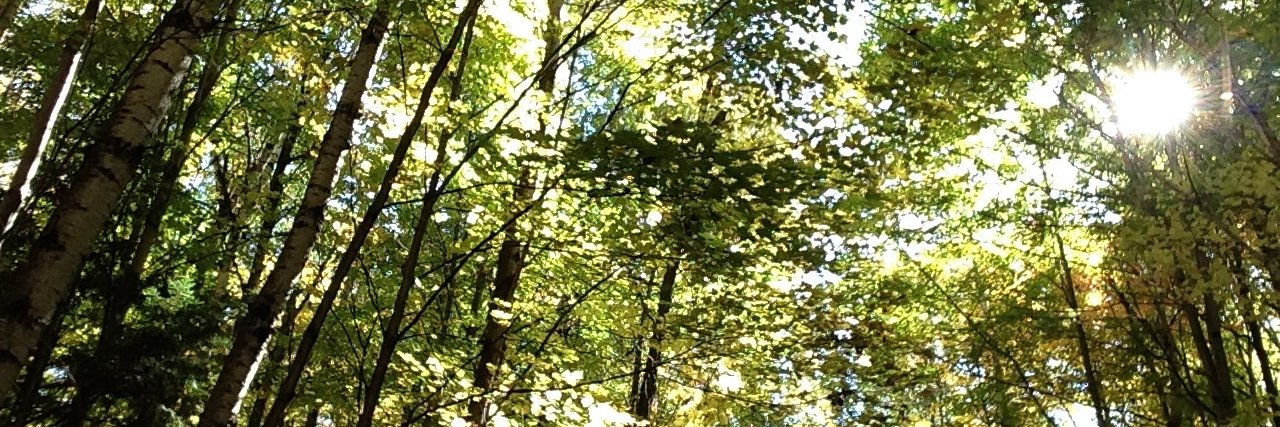 FrancesFraser44's profile banner image