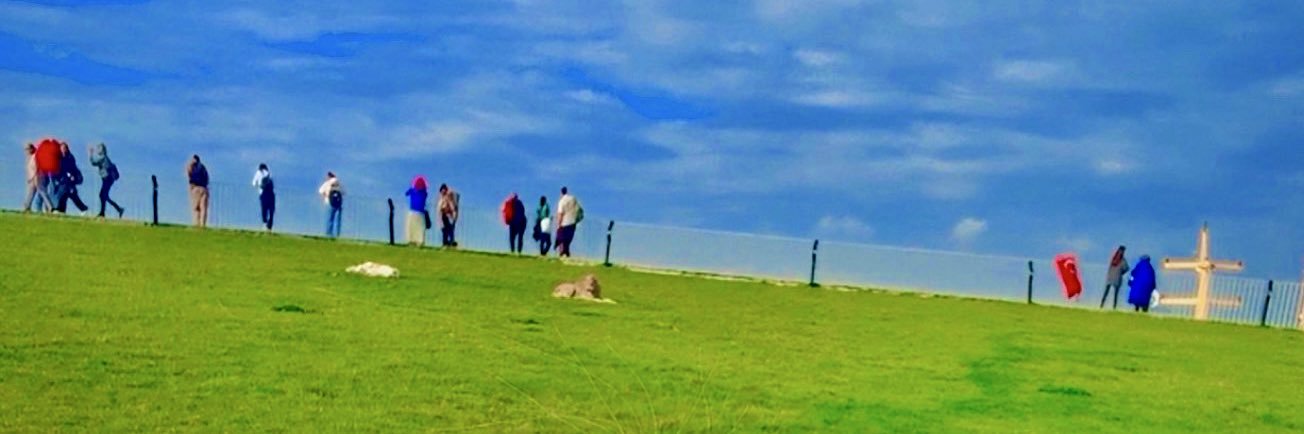 سارا برومند banner