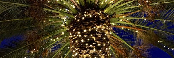 roblew9013 Profile Banner